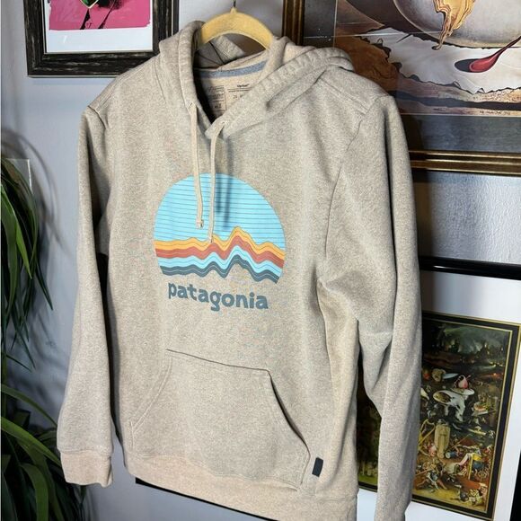 Patagonia Hoodie Mens Sz Small - Picture 3 of 6